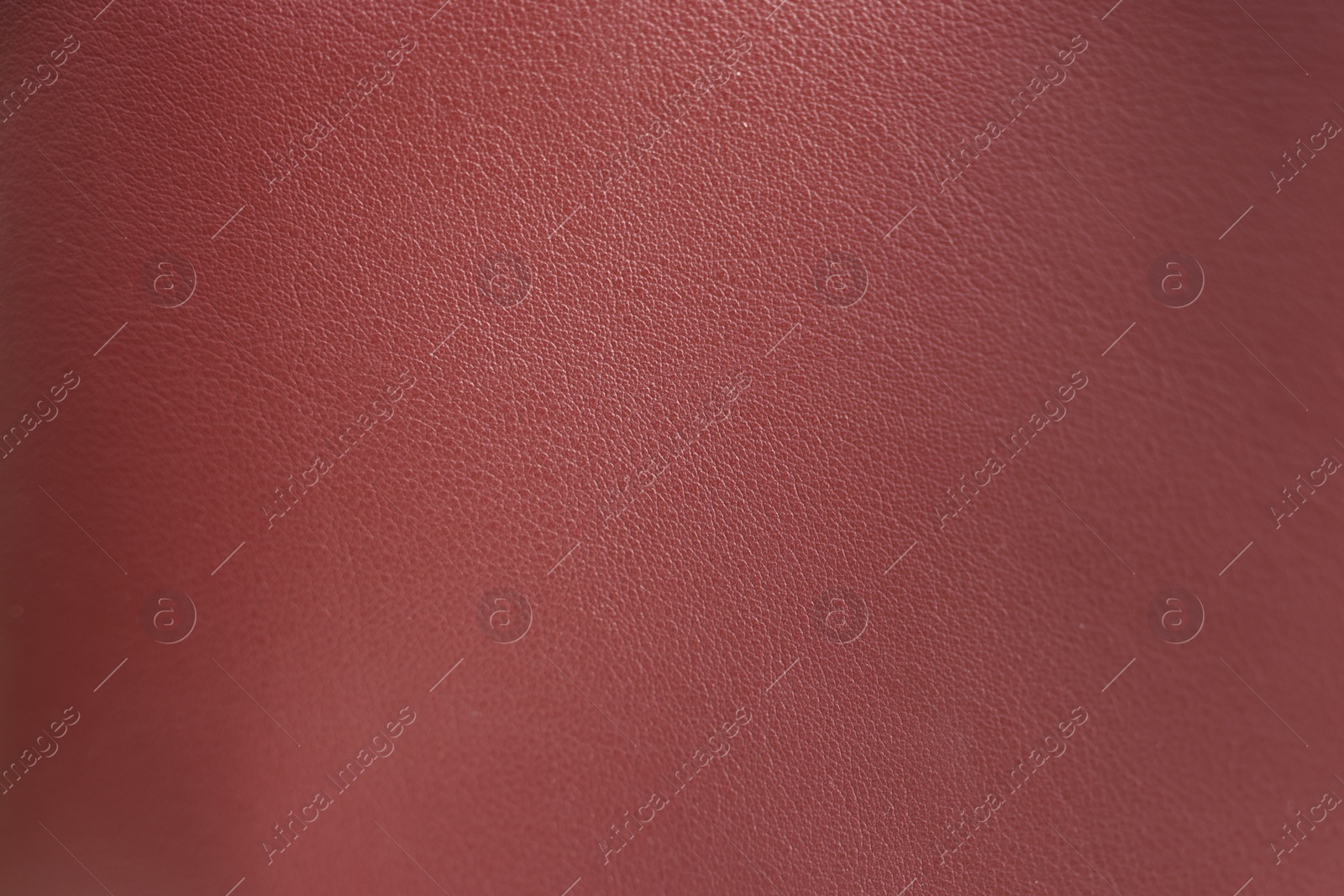 Photo of Texture of leather as background, closeup view