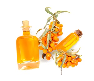 Natural sea buckthorn oil and fresh berries on white background, top view