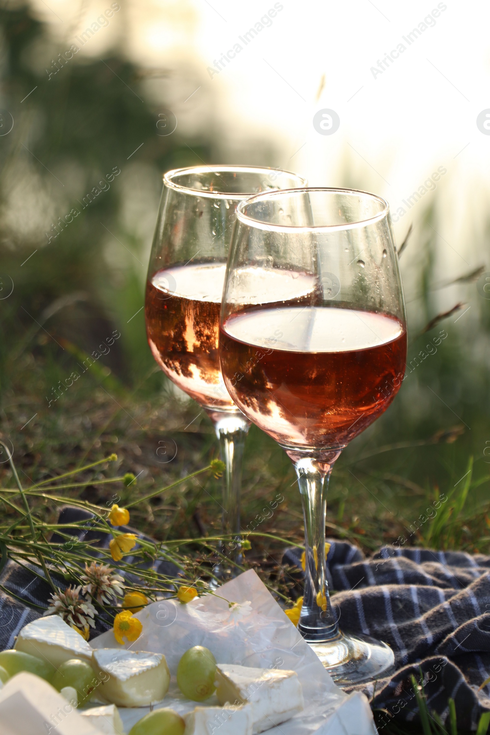 Photo of Delicious rose wine, cheese and grapes on picnic blanket near lake, closeup