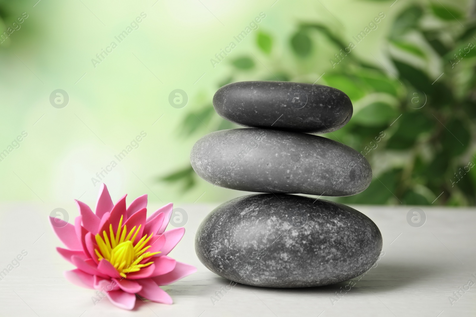 Photo of Zen lifestyle. Beautiful lotus flower and stones on white wooden table