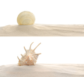 Heaps of dry beach sand with sea shells on white background