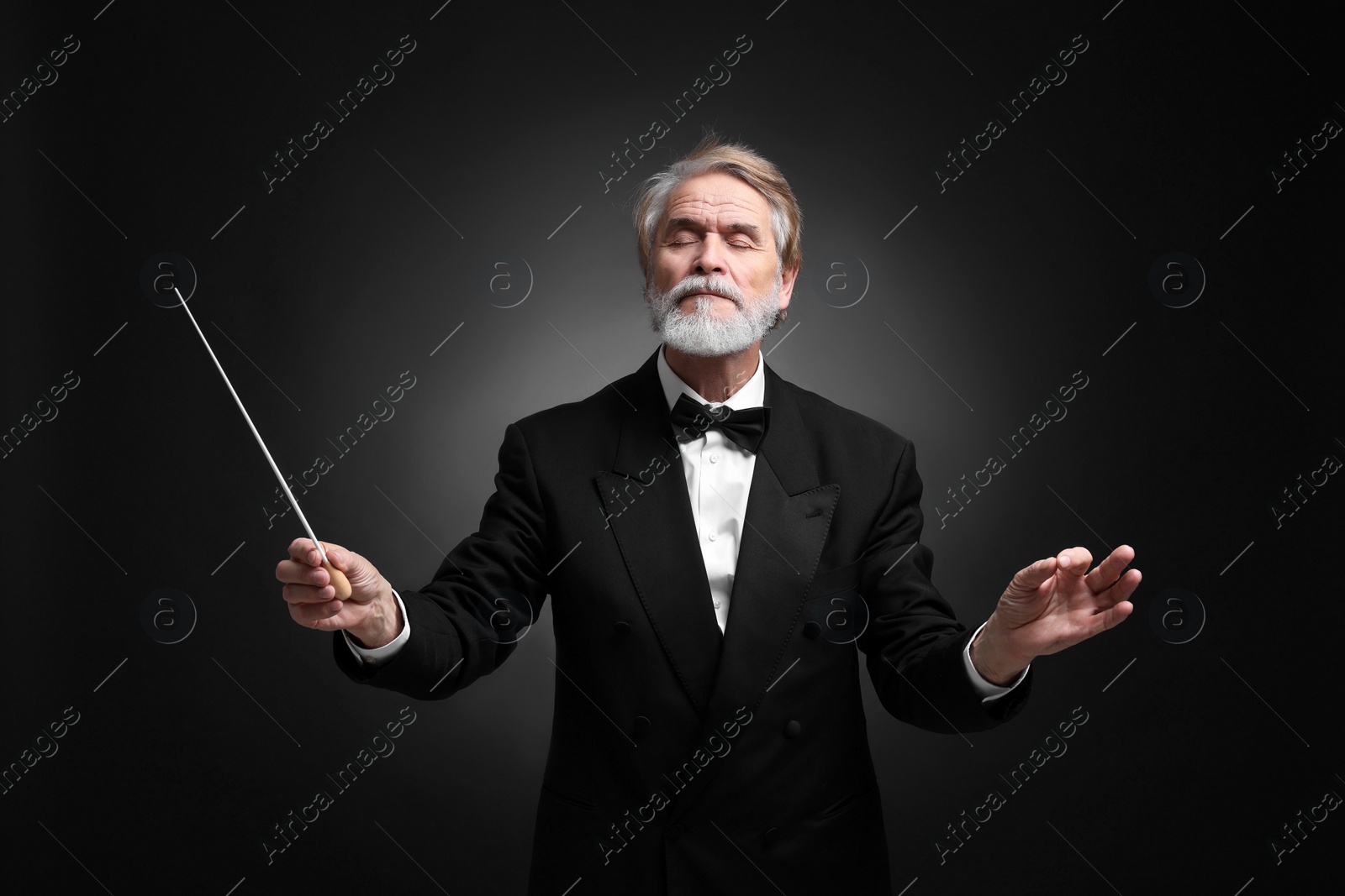 Photo of Professional conductor with baton on black background