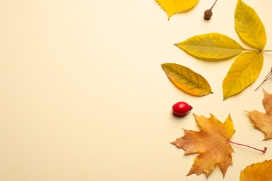 Flat lay composition with autumn leaves on beige background. Space for text