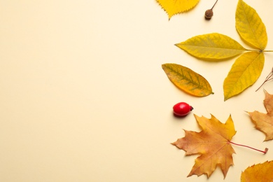 Photo of Flat lay composition with autumn leaves on beige background. Space for text