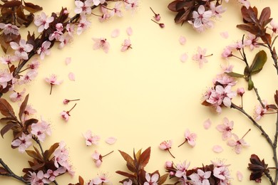 Photo of Spring tree branches with beautiful blossoms, flowers and petals on yellow background, flat lay. Space for text