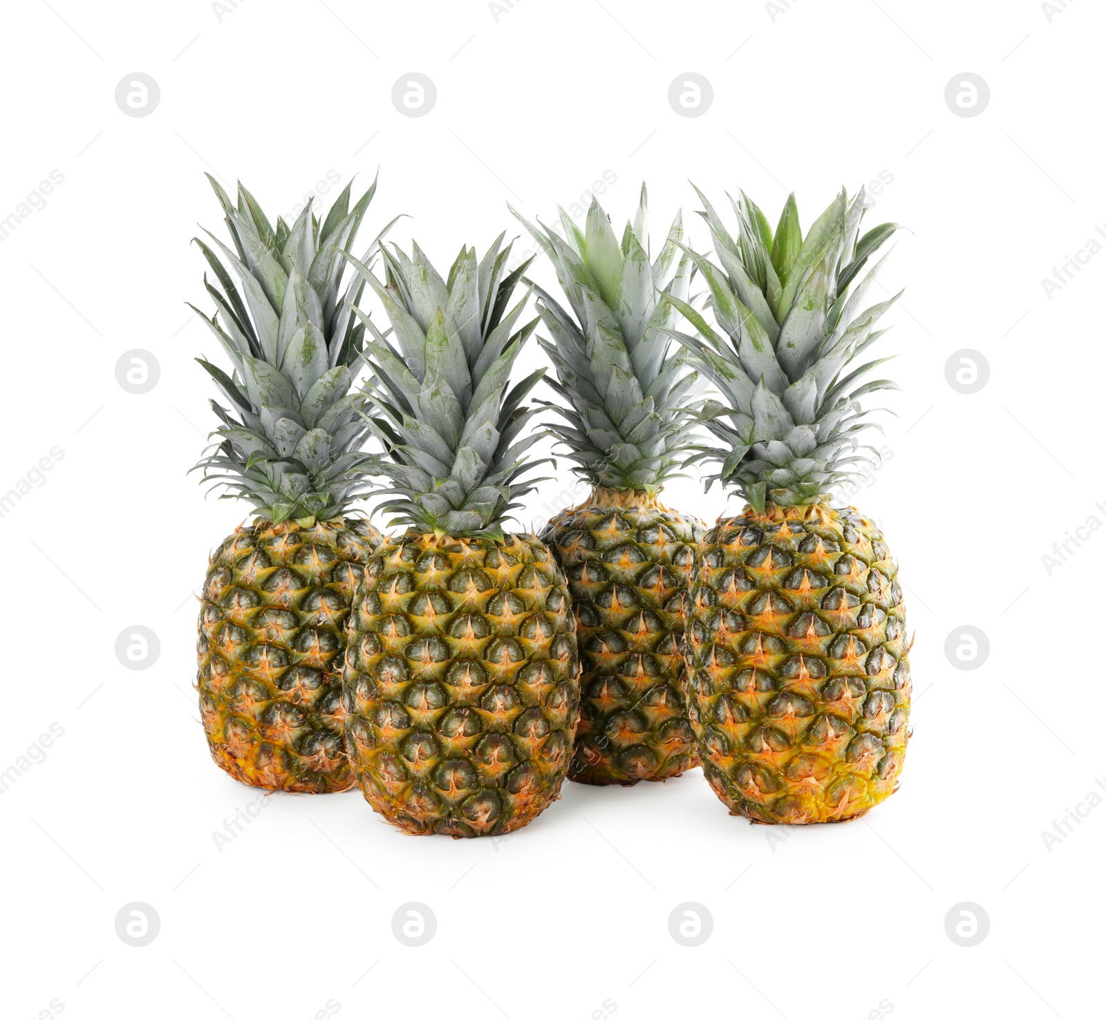 Photo of Many delicious ripe pineapples on white background