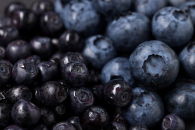 Ripe bilberries and blueberries as background, closeup