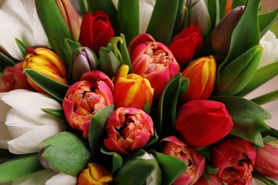 Photo of Beautiful bouquet of colorful tulip flowers, closeup