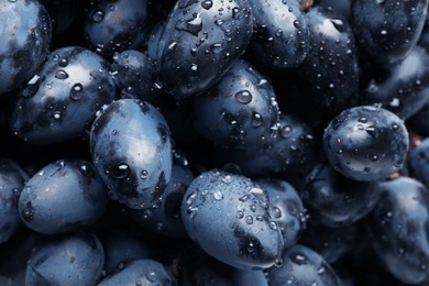 Fresh ripe juicy grapes with water drops as background, closeup