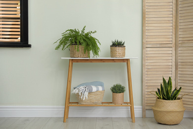 Houseplants in wicker pots indoors. Interior design