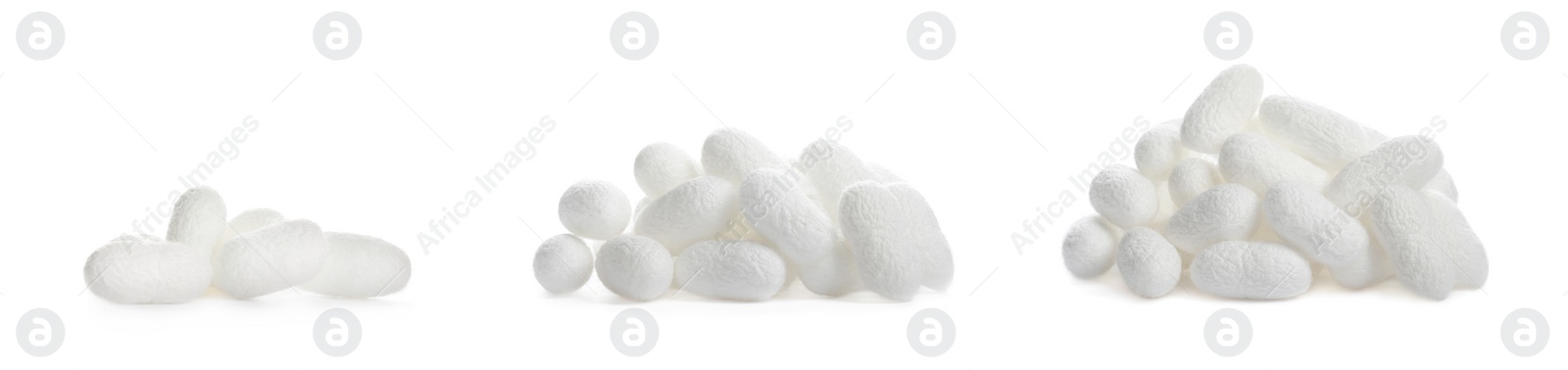 Image of Set with natural silkworm cocoons on white background. Banner design