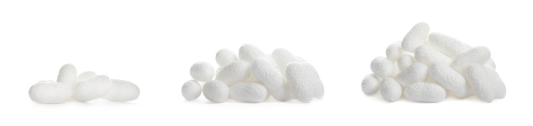 Image of Set with natural silkworm cocoons on white background. Banner design