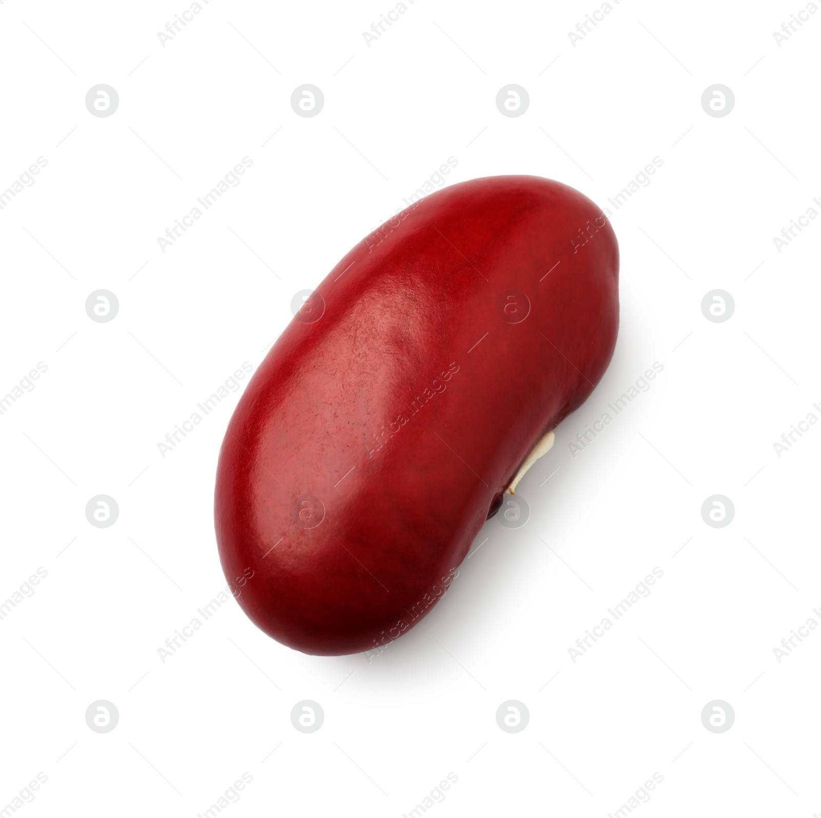Photo of Raw red kidney bean isolated on white