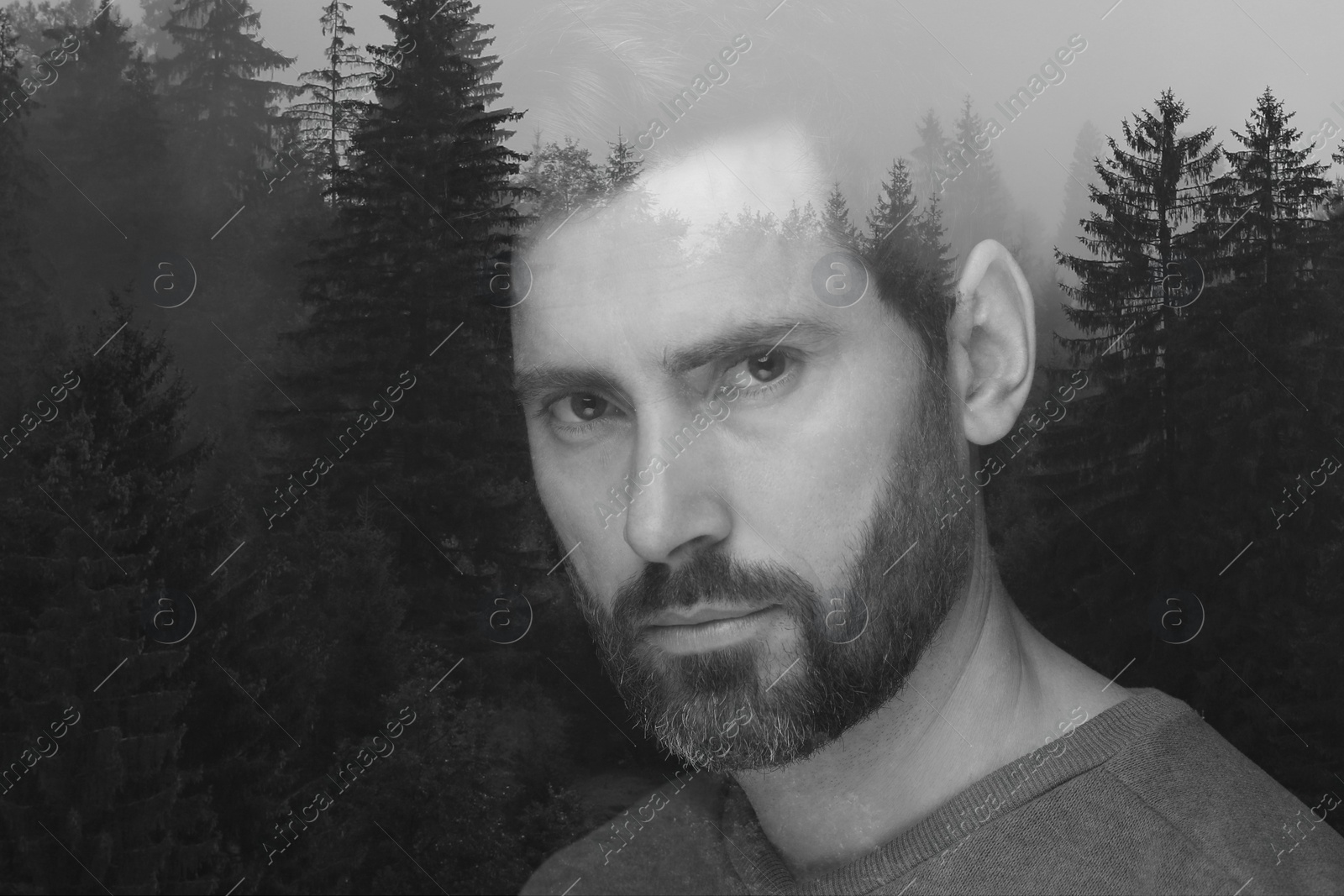 Image of Double exposure of man and trees on white background, black and white effect