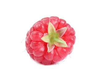 Photo of One tasty ripe raspberry isolated on white