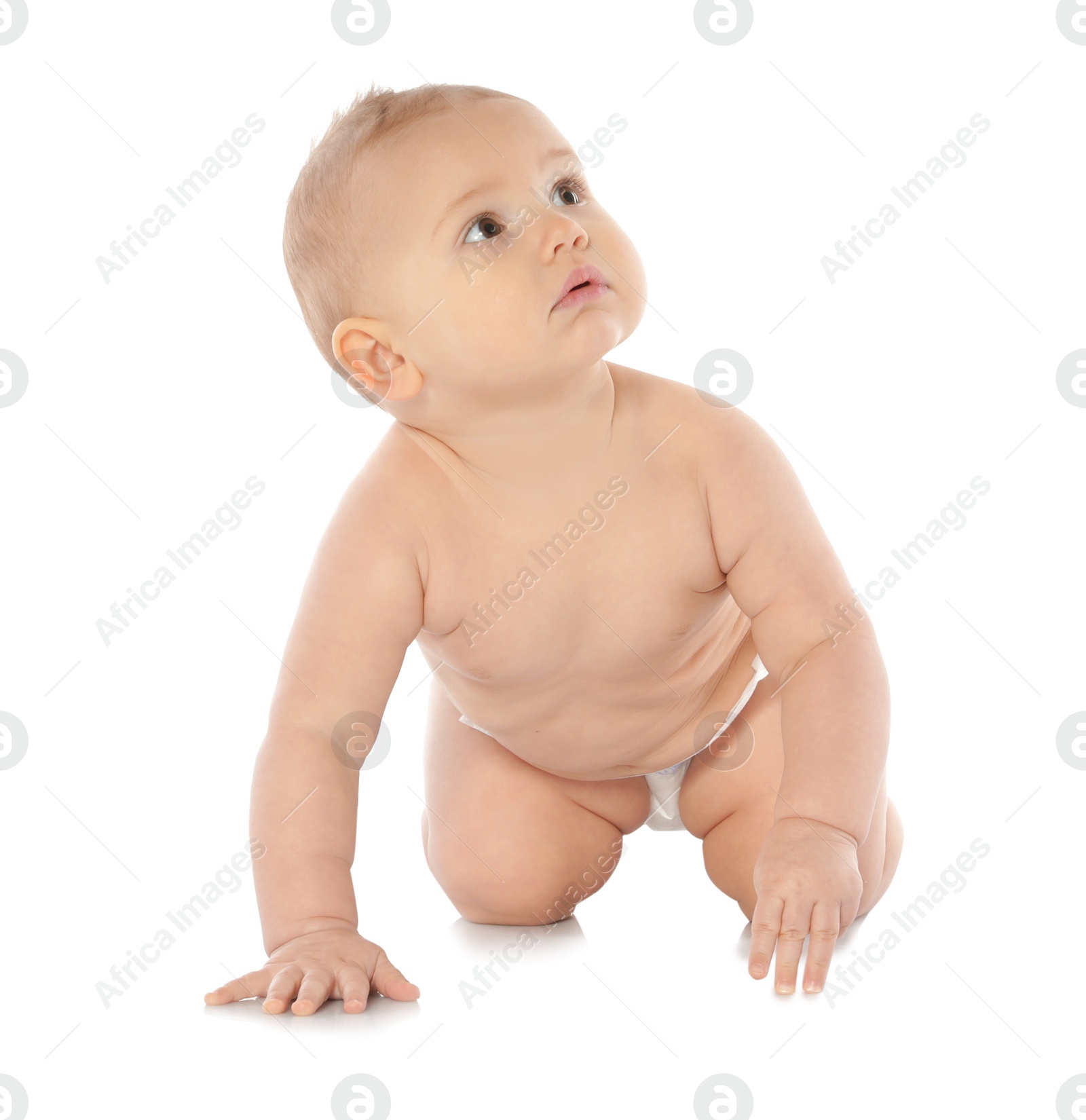 Photo of Cute little baby crawling on white background