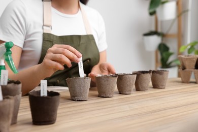 Photo of Woman inserting cards with names of vegetable seeds into peat pots at table indoors, closeup