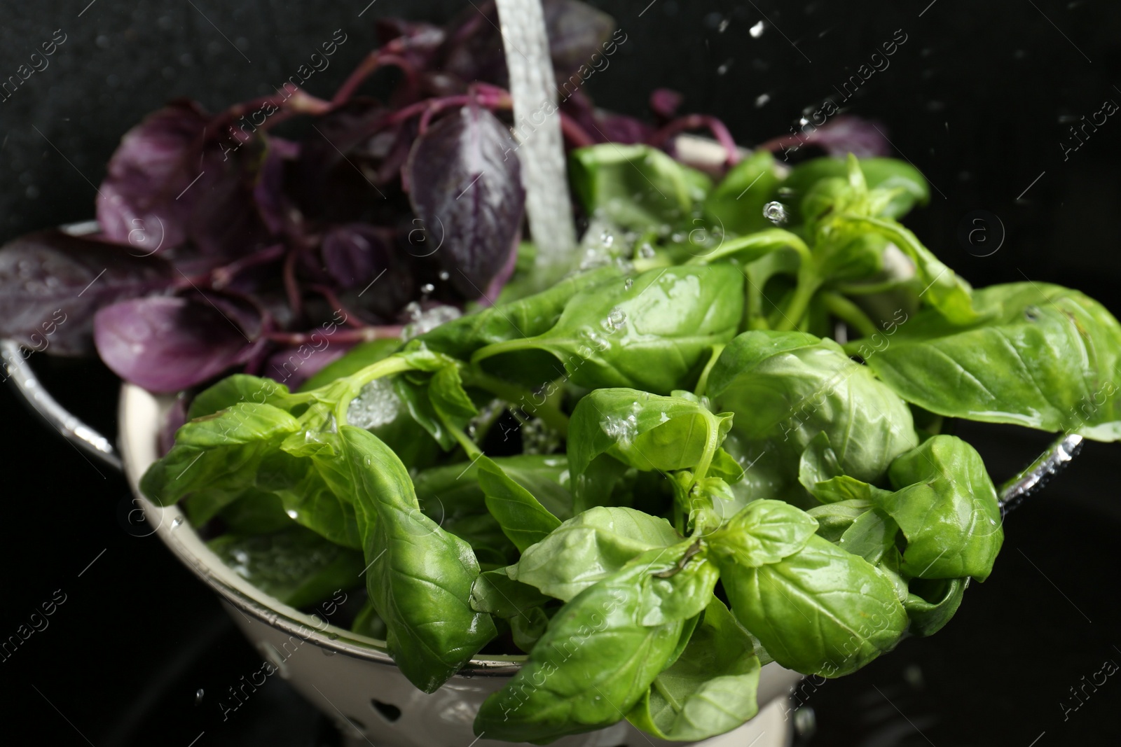 Photo of Washing different fresh basil leaves under tap water in metal colander in sink, closeup