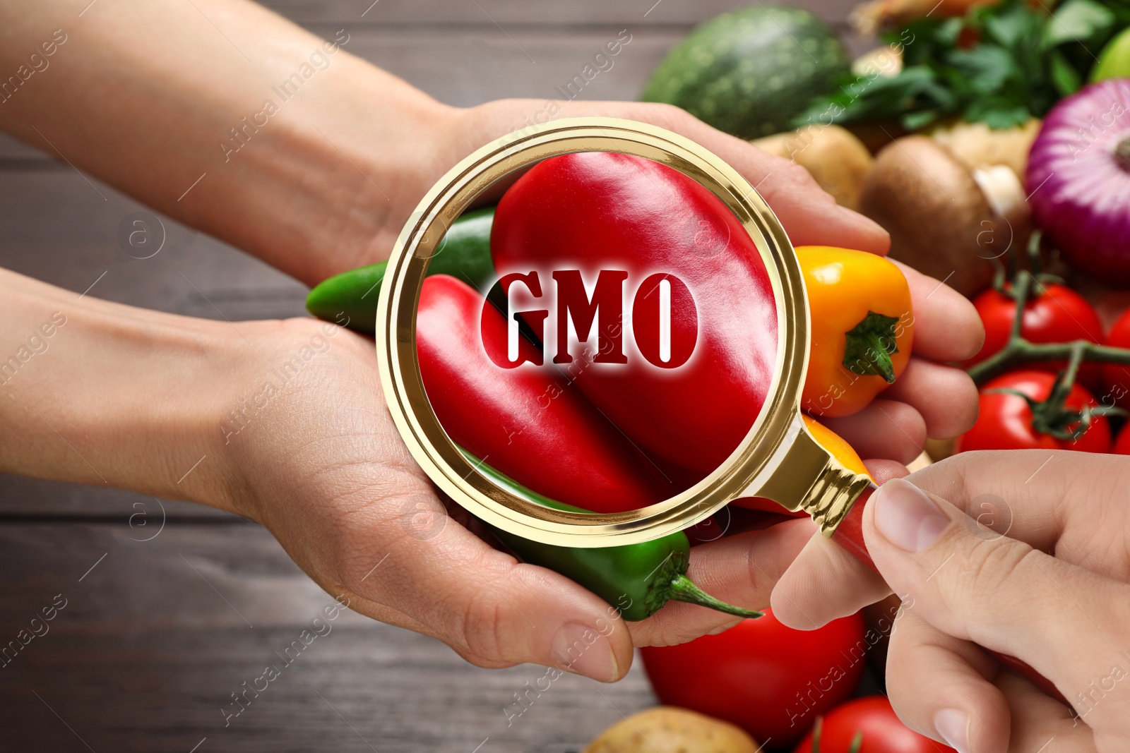 Image of View through magnifying glass on fresh vegetables. GMO concept