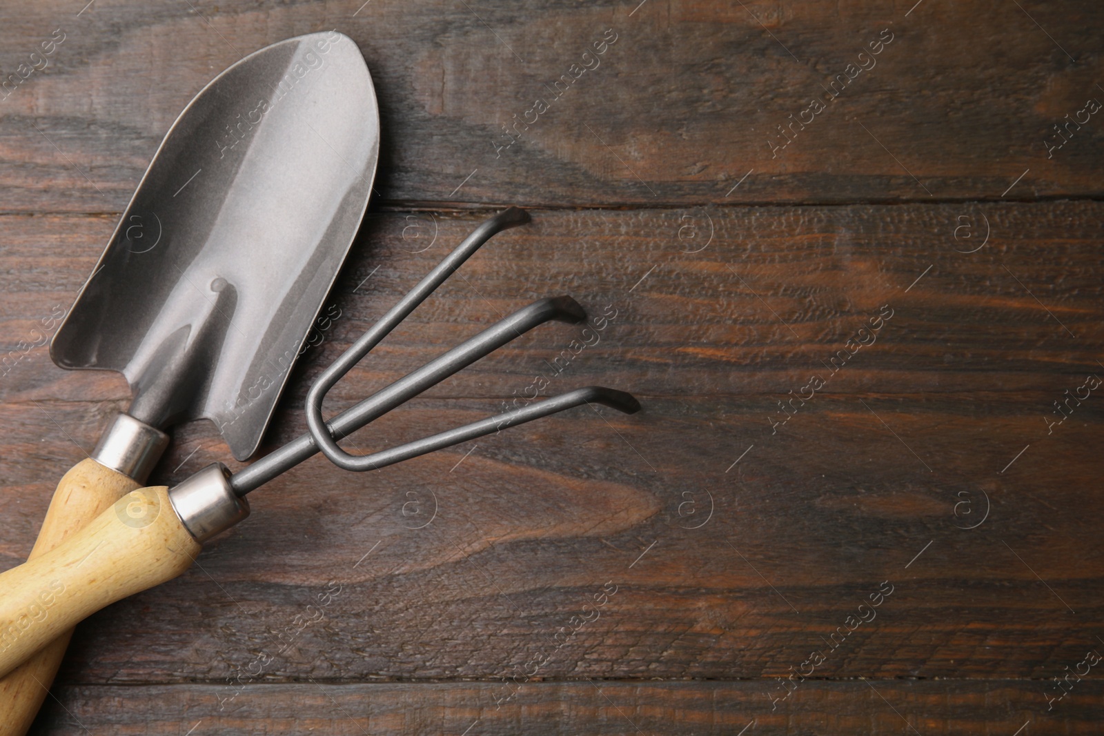 Photo of Gardening trowel and rake on wooden table, top view. Space for text