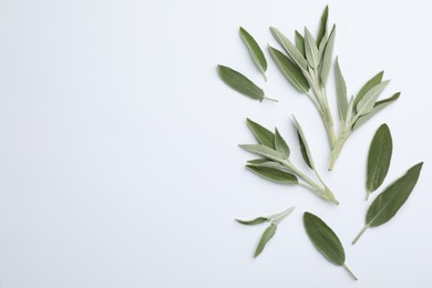 Fresh green sage leaves on light background, flat lay. Space for text