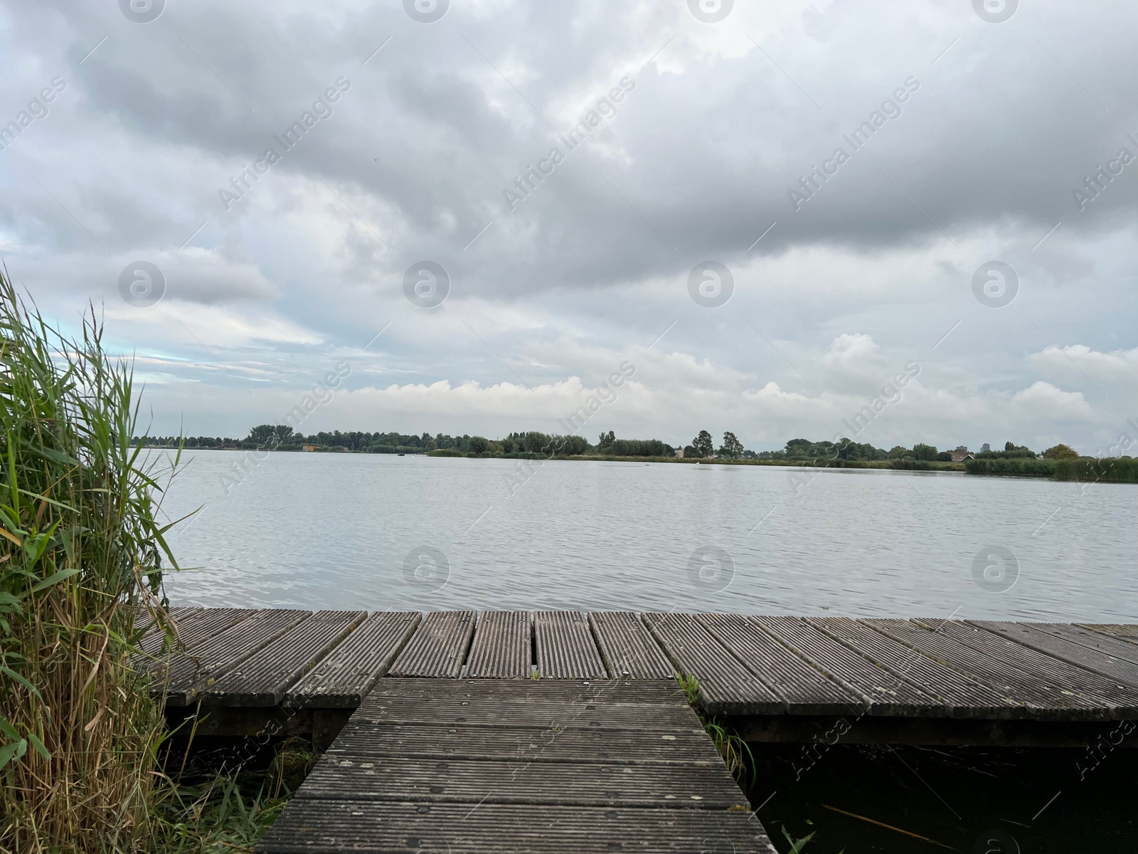 Photo of Picturesque view of river reeds and cloudy sky