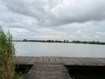 Picturesque view of river reeds and cloudy sky