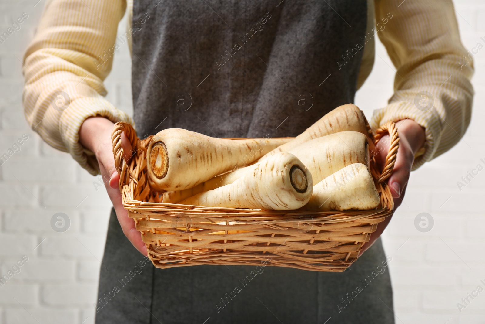 Photo of Woman holding wicker basket with delicious fresh ripe parsnips indoors, closeup