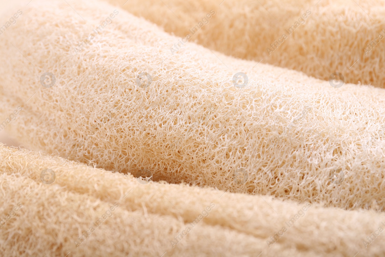 Photo of Natural loofah sponges as background, closeup view