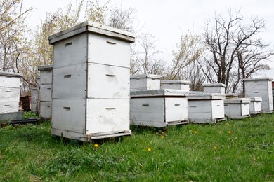 Photo of Many white bee hives at apiary outdoors