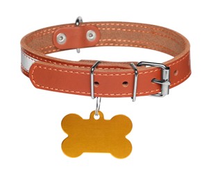 Brown leather dog collar with bone shaped tag isolated on white