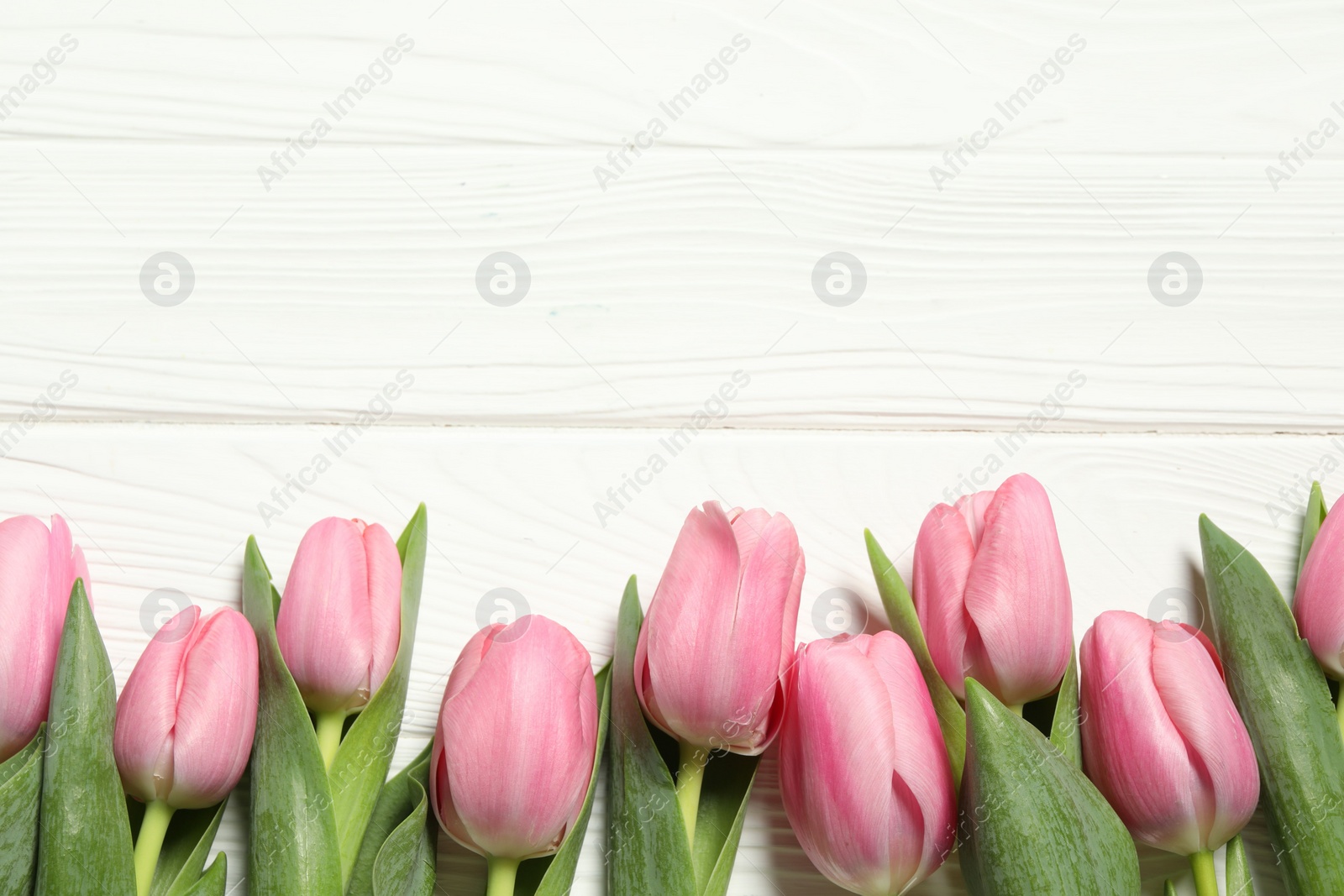 Photo of Happy Mother's Day. Beautiful pink tulips on white wooden table, flat lay. Space for text