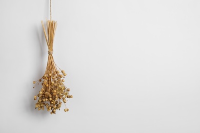 Photo of Bunch of beautiful dried flowers on white background. Space for text