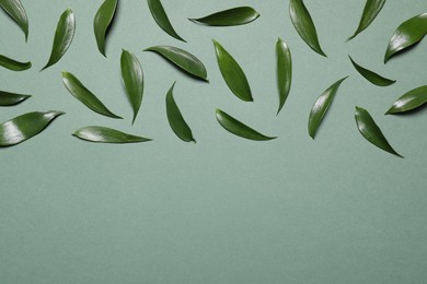 Many fresh leaves on grey-green background, flat lay. Space for text