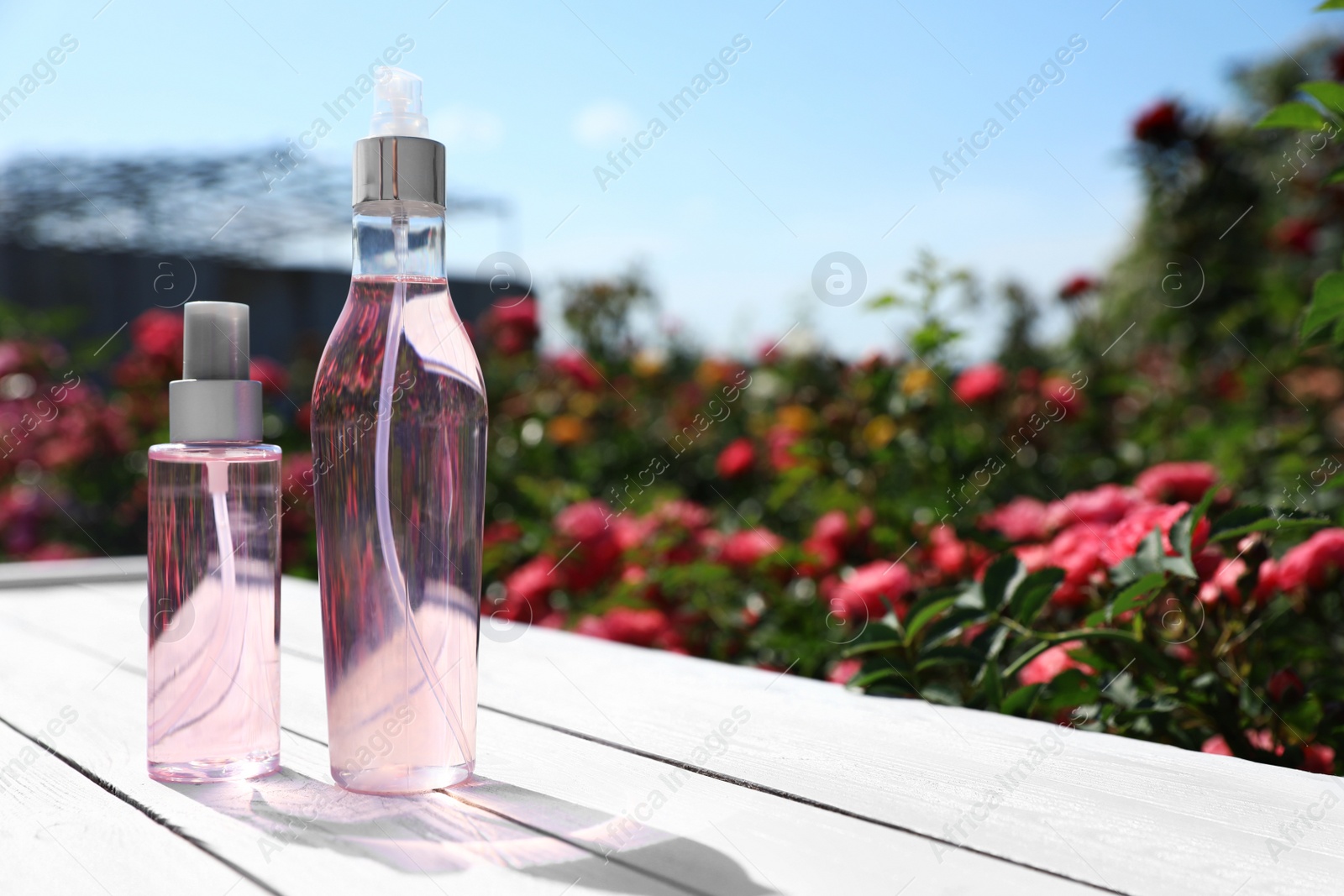 Photo of Bottles of facial toner with essential oil and blurred rose bushes on background. Space for text