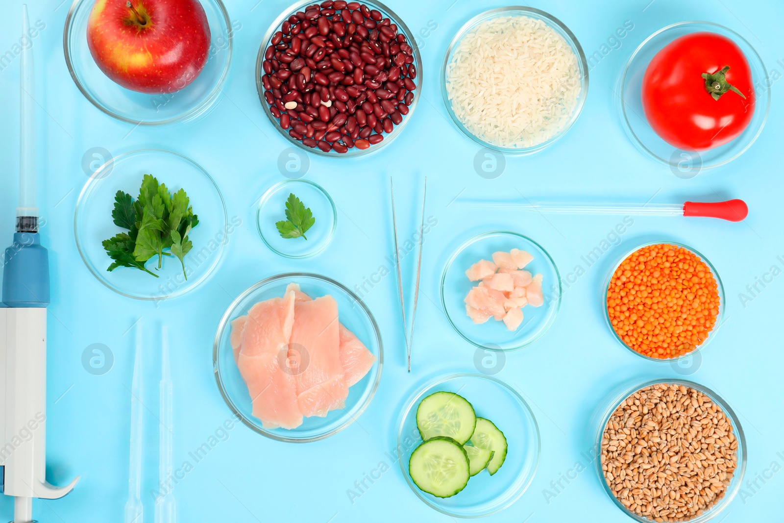 Photo of Food quality control. Petri dishes with different products, pipettes and tweezers on light blue background, flat lay