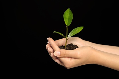 Woman holding soil with green plant in hands on black background