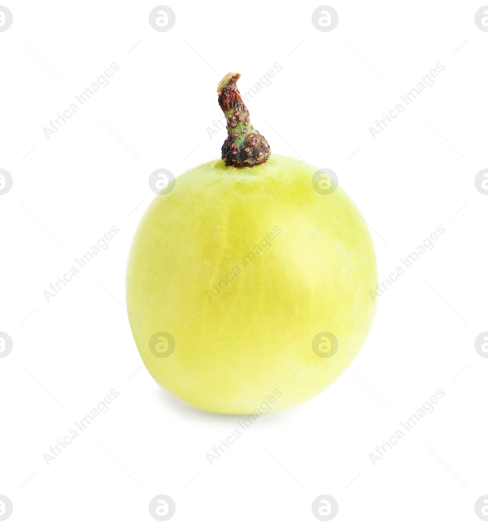 Photo of Fresh ripe juicy green grape isolated on white