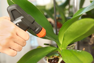 Woman spraying orchid plant on window sill, closeup