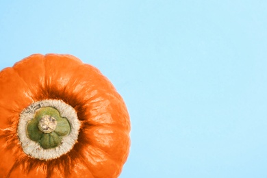 Fresh ripe pumpkin on blue background, top view with space for text. Holiday decoration