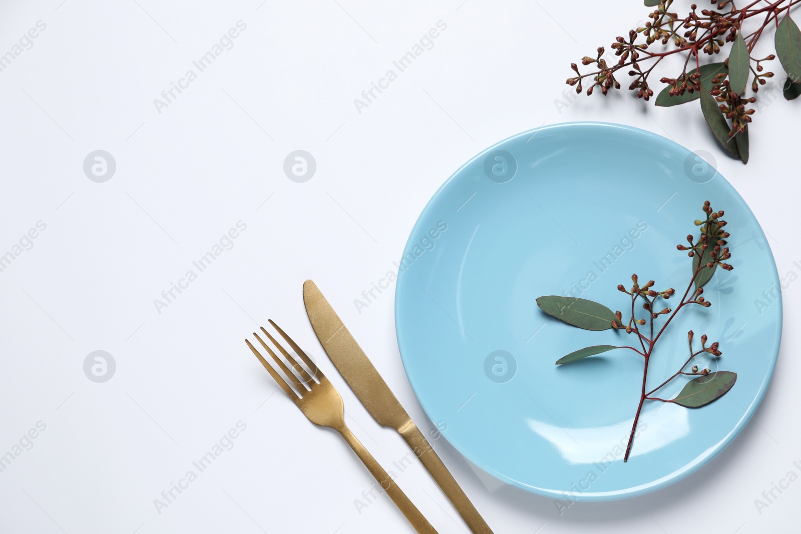 Photo of Stylish setting with cutlery and eucalyptus leaves on white background, top view. Space for text