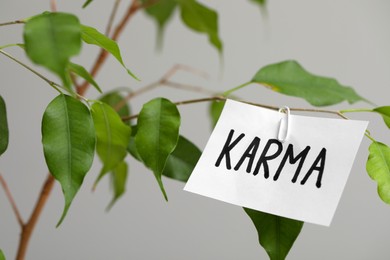 Photo of Sheet of paper with word Karma on branch against grey background, closeup