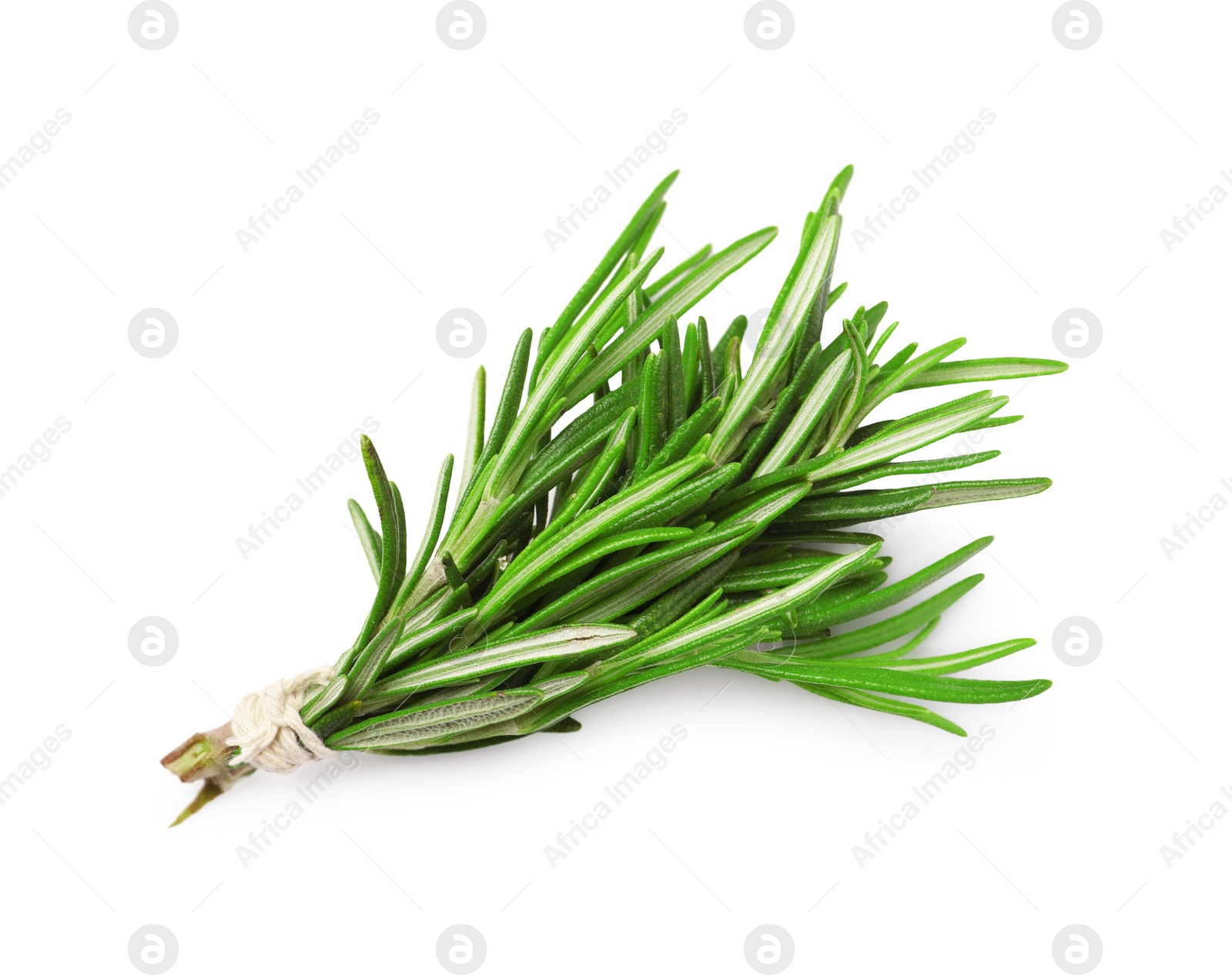 Photo of Bunch of fresh rosemary isolated on white, top view