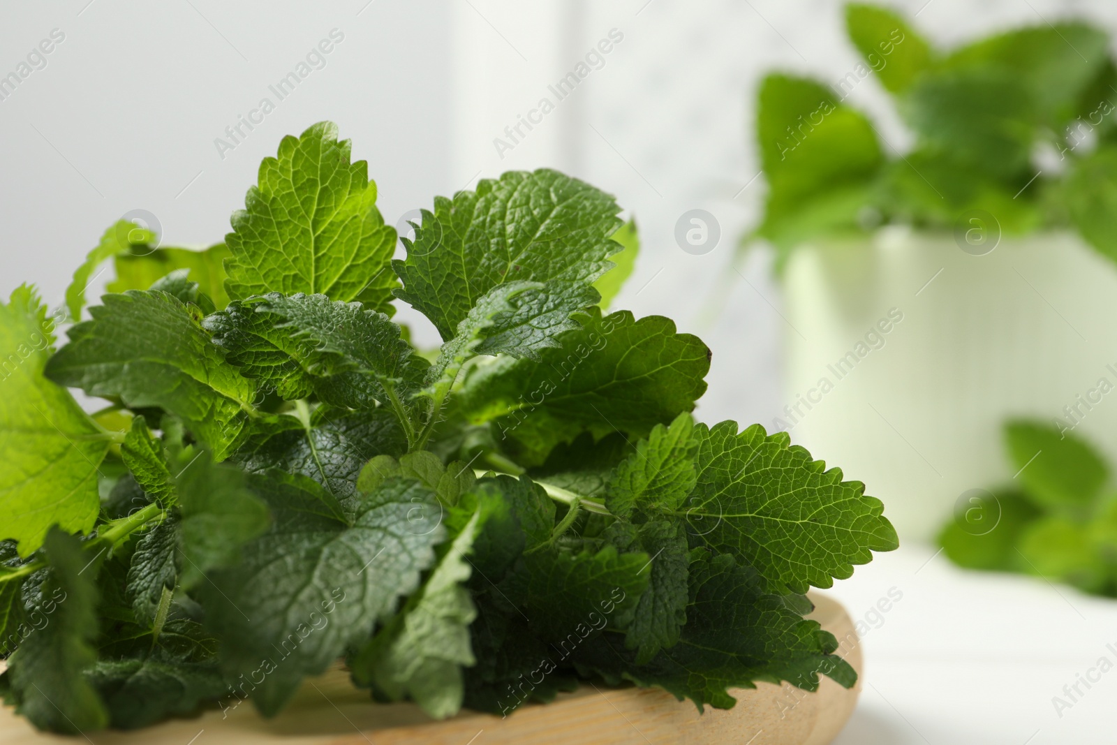 Photo of Fresh lemon balm on wooden table, closeup