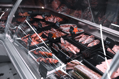 Photo of Different fresh seafood on display. Wholesale market