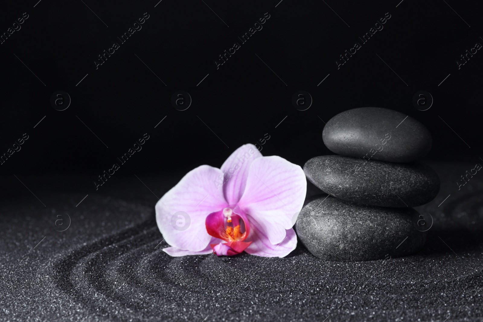 Photo of Spa stones and orchid flower on black sand with beautiful pattern, space for text. Zen concept