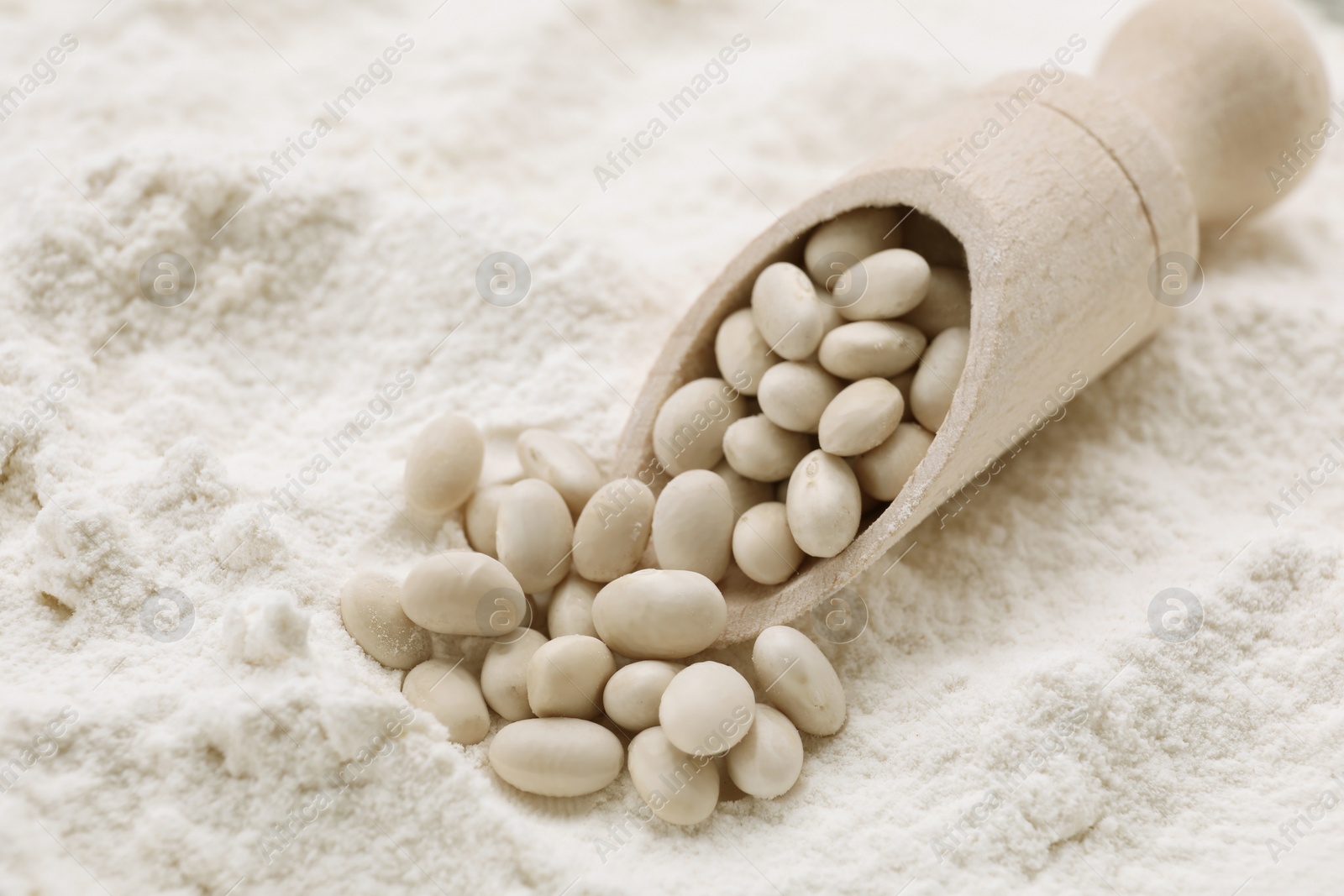 Photo of Wooden scoop with white kidney beans on flour, closeup. Space for text