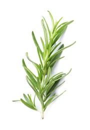 Photo of Aromatic green rosemary sprig isolated on white. Fresh herb