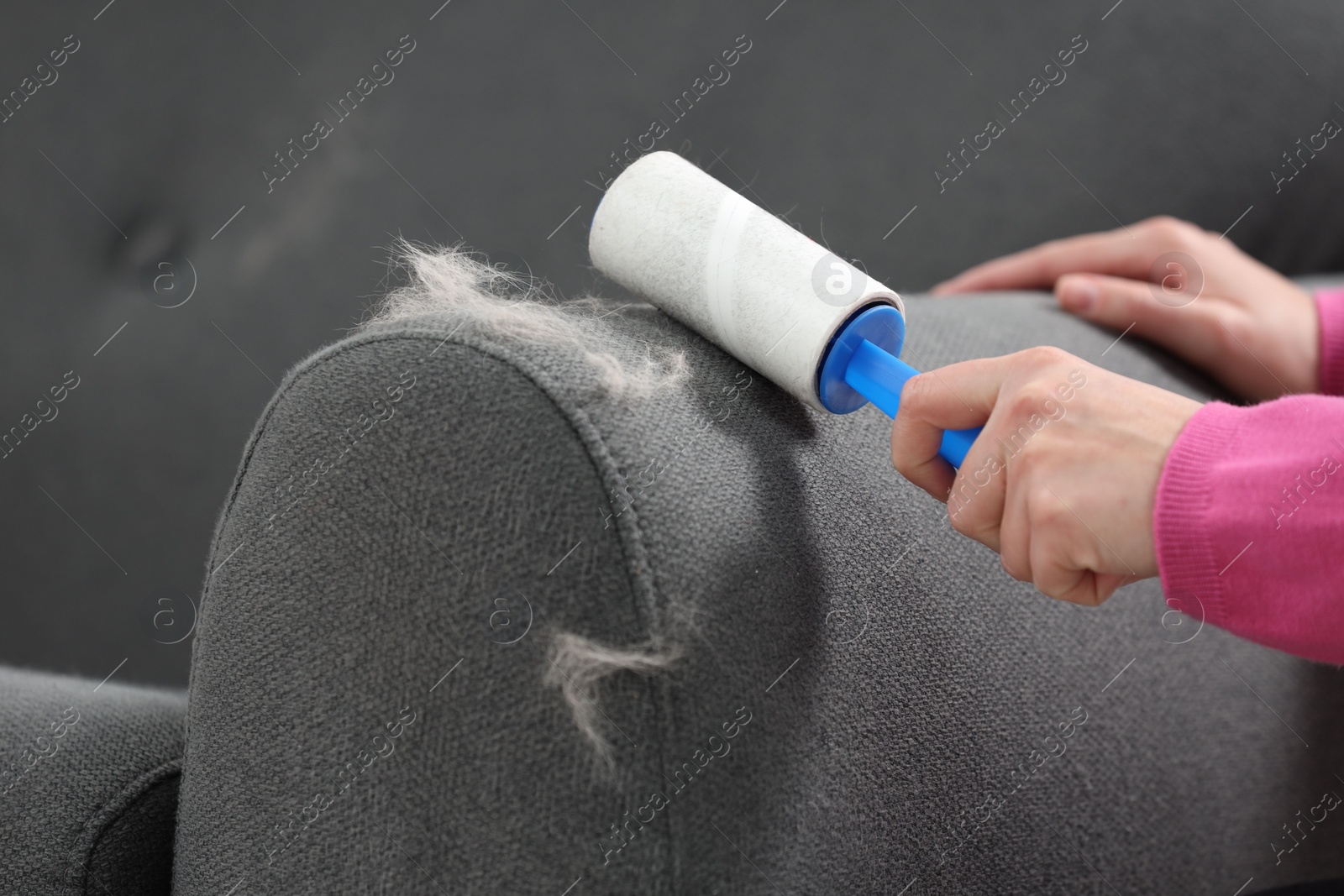 Photo of Woman with lint roller removing pet hair from sofa at home, closeup