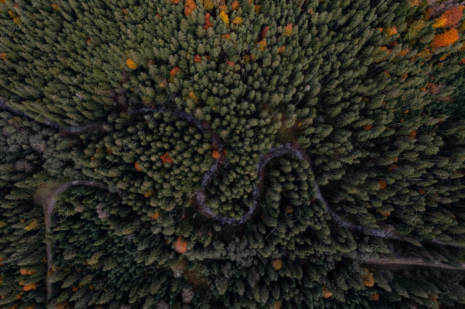 Image of Aerial view of beautiful forest, river and empty road on autumn day